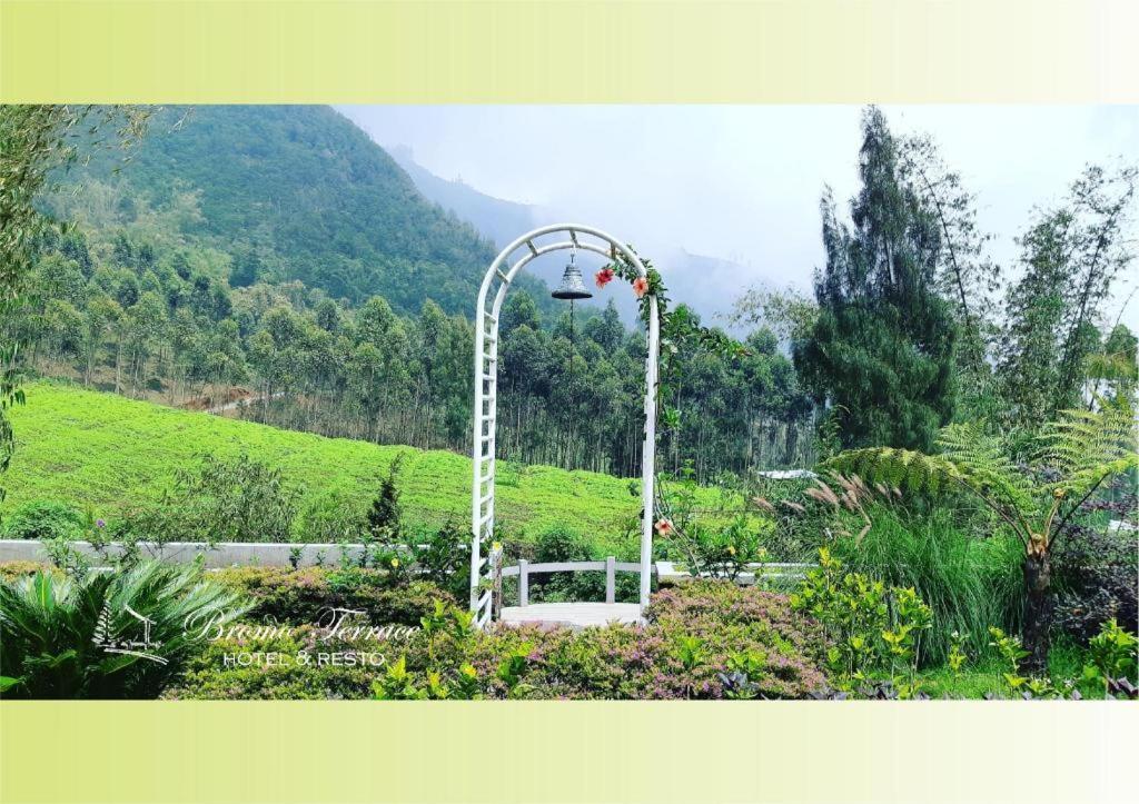 Bromo Terrace Hotel Dış mekan fotoğraf