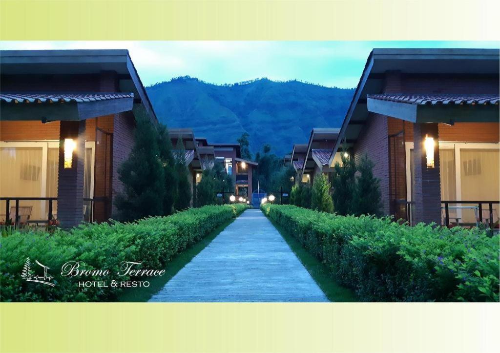 Bromo Terrace Hotel Dış mekan fotoğraf