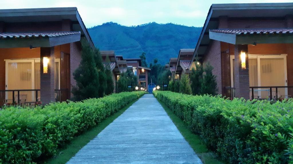 Bromo Terrace Hotel Dış mekan fotoğraf